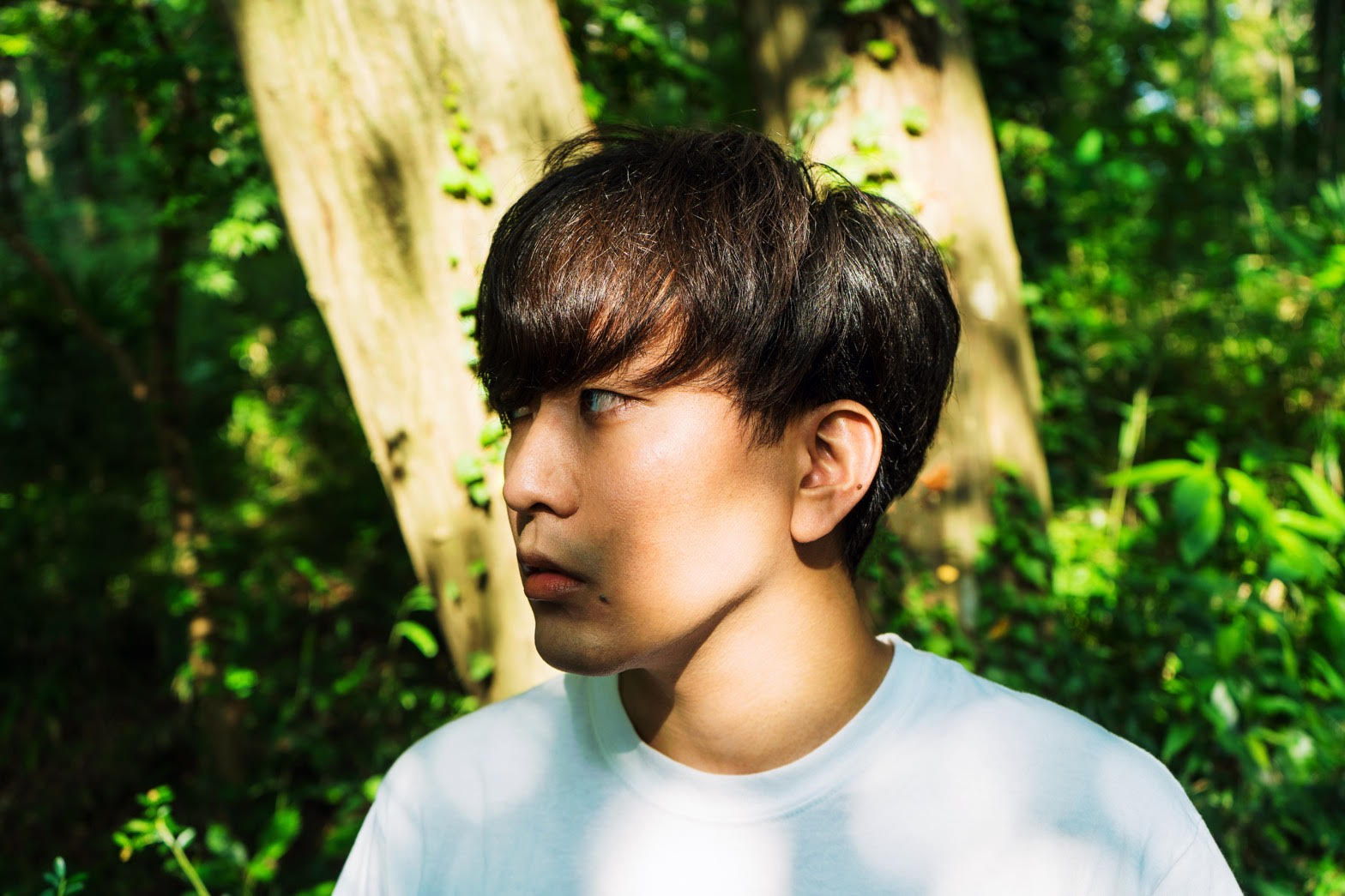 owara_sumito